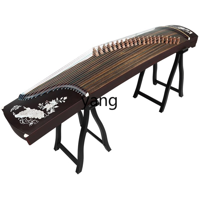 test giriş seviyesi 10 profesy - Musical Instrument Guzheng incelemesi ve fiyatı