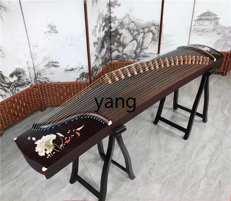 test giriş seviyesi 10 profesy - Musical Instrument Guzheng incelemesi ve fiyatı