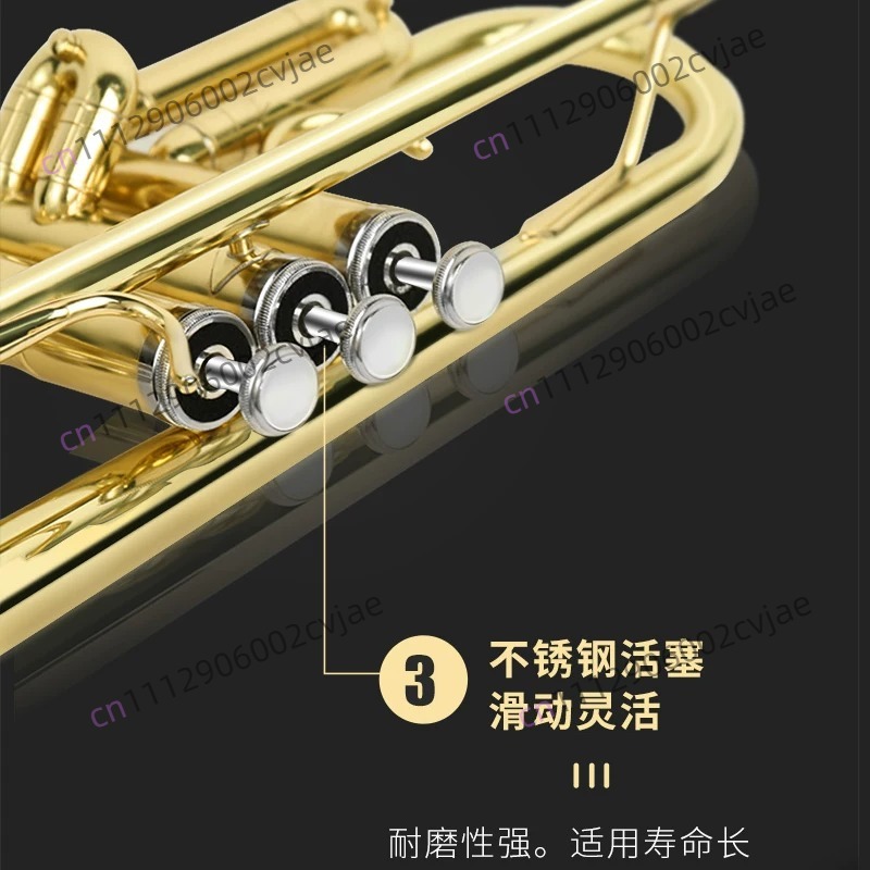 Jinbao trompet müzik aleti JBT - Musical Instrument Band incelemesi ve fiyatı